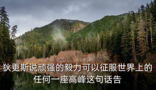 狄更斯說頑強(qiáng)的毅力可以征服世界上的任何一座高峰這句話告