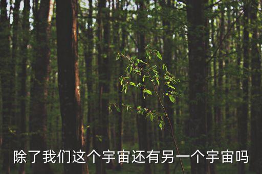 另一個宇宙，宇宙外存不存在另外一個宇宙