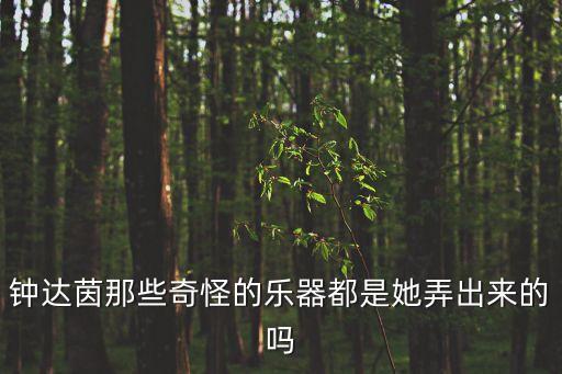 鐘達茵那些奇怪的樂器都是她弄出來的嗎