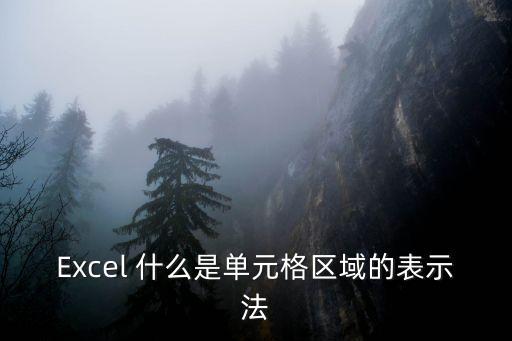 Excel 什么是單元格區域的表示法