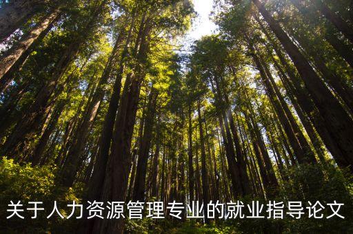 就業指導論文，關于人力資源管理專業的就業指導論文