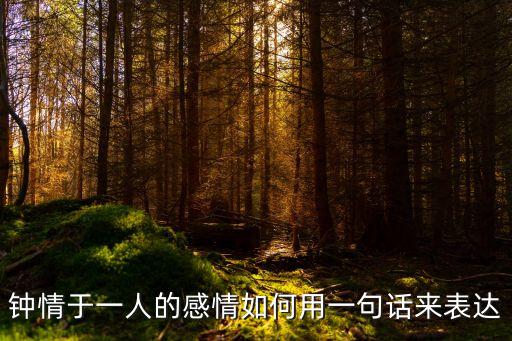 只鐘情于一個人的句子，鐘情于一人的感情如何用一句話來表達