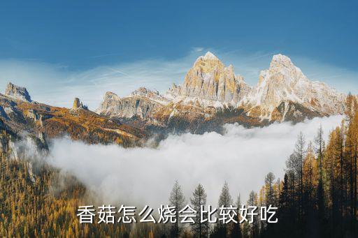 燒香菇，香菇怎么燒會比較好吃