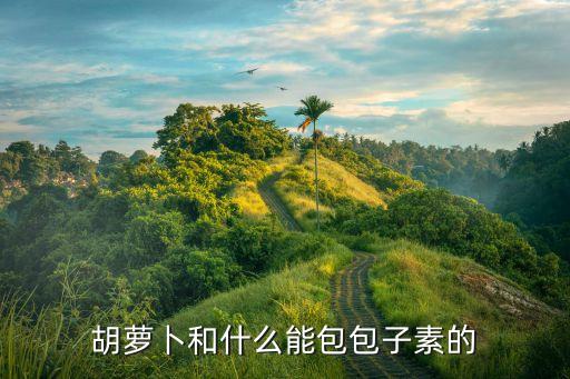 胡蘿卜素餡包子，胡蘿卜和什么能包包子素的