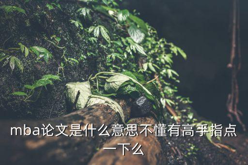 mba論文，mba論文是什么意思不懂有高手指點(diǎn)一下么