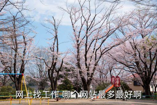 網(wǎng)上找工作 哪個(gè)網(wǎng)站最多最好啊