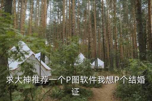 求大神推薦一個P圖軟件我想P個結婚證
