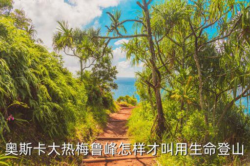 梅魯峰，如何評價紀錄片攀登梅魯峰