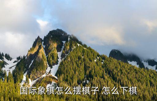 國際象棋入門，國際象棋的入門玩法