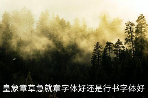 皇象，皇象床墊有正反面嗎是不是只能睡粽墊那一面