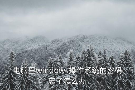 windows密碼忘了怎么辦，電腦里windows操作系統(tǒng)的密碼忘了怎么辦