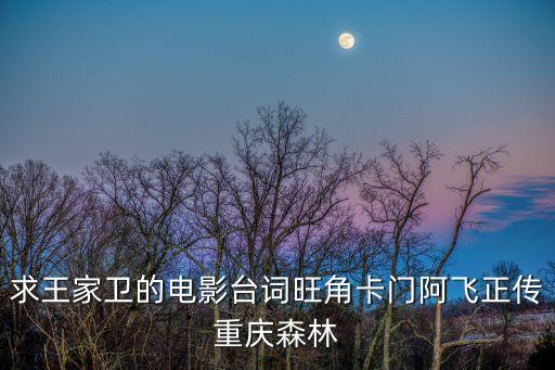 求王家衛的電影臺詞旺角卡門阿飛正傳重慶森林