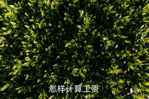 員工工資計算方法，怎樣計算工資