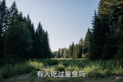 鱟魚，鱟魚的眼睛在那里