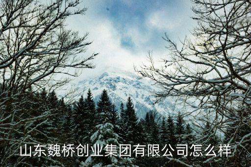 魏橋創(chuàng)業(yè)，山東魏橋創(chuàng)業(yè)集團(tuán)有限公司怎么樣知道的說的具體一點(diǎn)還有該公司