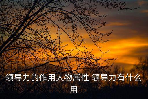 領導力的重要性，領導力發展對一家企業發展來講很重要嗎