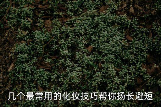 幾個最常用的化妝技巧幫你揚長避短