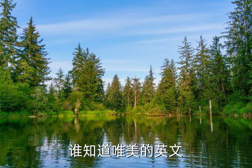 唯美的英語單詞，誰知道唯美的英文
