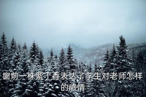 窗前一株紫丁香，窗前一株紫丁香表達了學生對老師怎樣的感情