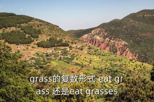 grass復數，grass的復數形式 eat grass 還是eat grasses