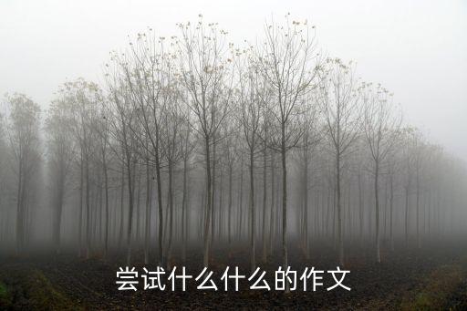 嘗試作文500字，初一作文第一次 的嘗試作文500字左右最好少點