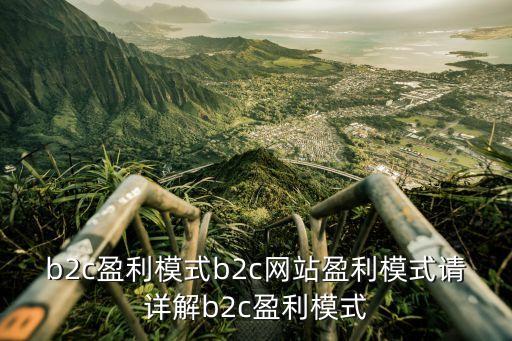 盈利模式怎么寫，分析某個網站的盈利模式2000字以上