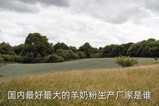 羊奶粉廠家，國內最好最大的羊奶粉生產廠家是誰