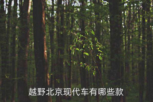 現代越野車，現代什么SUV最好