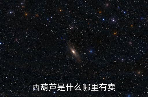 西葫蘆是什么哪里有賣