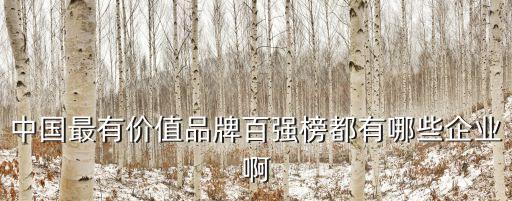 品牌價值排行榜，中國最有價值品牌百強(qiáng)榜都有哪些企業(yè)啊