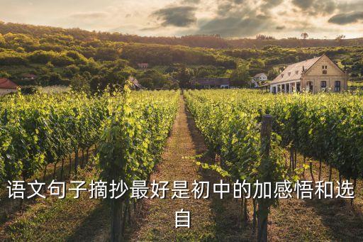 語文摘抄優美句子，語文句子摘抄最好是初中的加感悟和選自