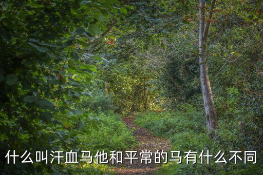 汗血馬，什么是汗血馬