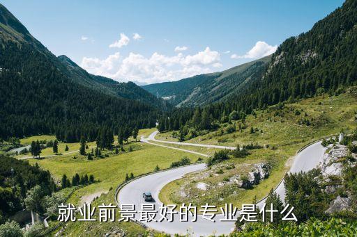 前景比較好的專業(yè)，就業(yè)前景最好的專業(yè)是什么