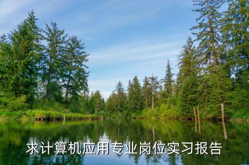 計算機專業(yè)實習(xí)報告，求計算機應(yīng)用專業(yè)崗位實習(xí)報告