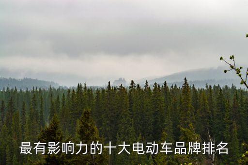 電車排行，電動(dòng)車排名前十名是哪些品牌