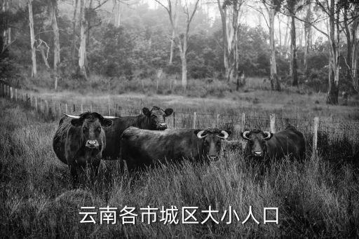城區人口，孝感市城區人口有多少