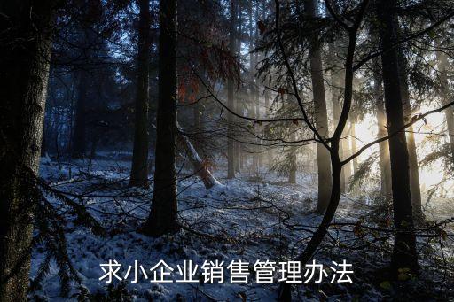 求小企業(yè)銷售管理辦法