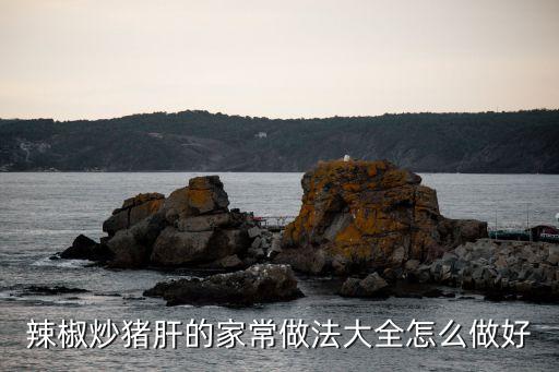 辣椒炒豬肝的做法，辣椒炒豬肝的家常做法大全怎么做好