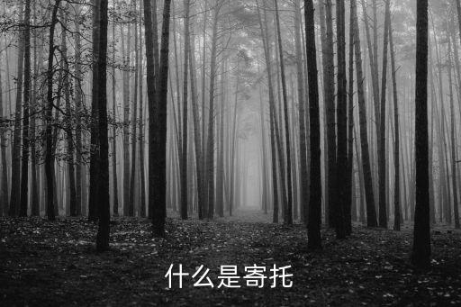 寄托，寄托是什么意思