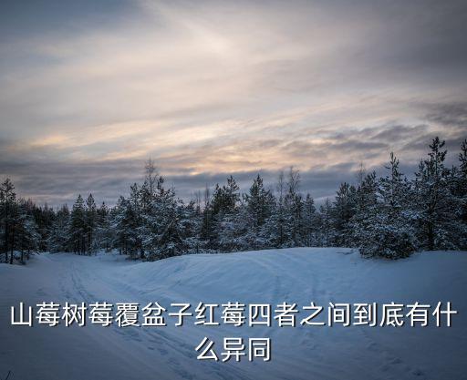 紅莓，紅莓和草莓一樣嗎