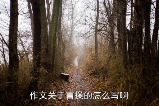 曹操作文，有沒有關于曹操的作文