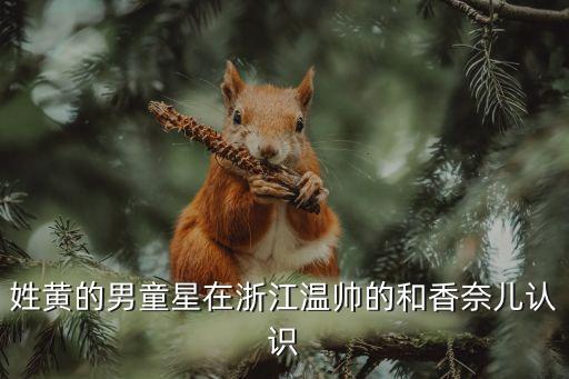 黃姓明星，中國有多少姓黃的明星啊演員 導演 歌星 主持人 等 等全把名字發一