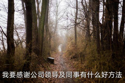 感謝同事，求寫給同事的一封感謝信