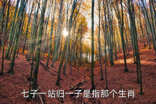 七子一站歸一子是指那個生肖