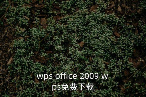 wps office 2009 wps免費下載