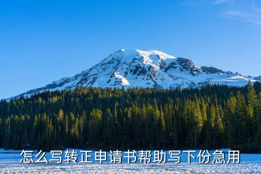 提前轉正申請書，好心人幫忙寫個簡單簡潔的轉正申請書