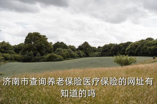 濟南社保局官網，濟南市查詢養老保險醫療保險的網址有知道的嗎