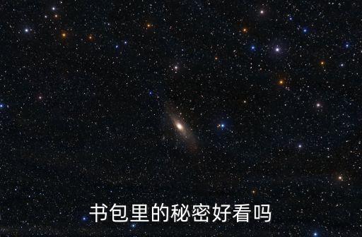 書包里的秘密，書包里的秘密好看嗎