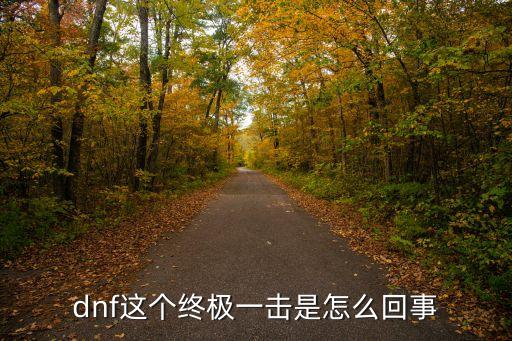 dnf這個終極一擊是怎么回事