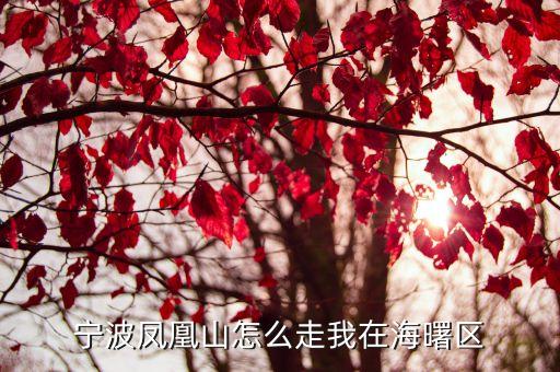 寧波鳳凰山，寧波鳳凰山怎么走我在海曙區